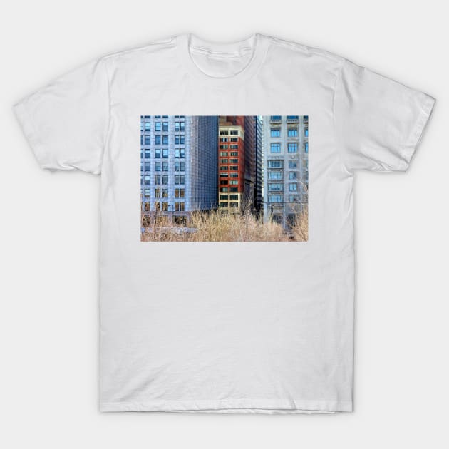 Windows of Chicago T-Shirt by bgaynor